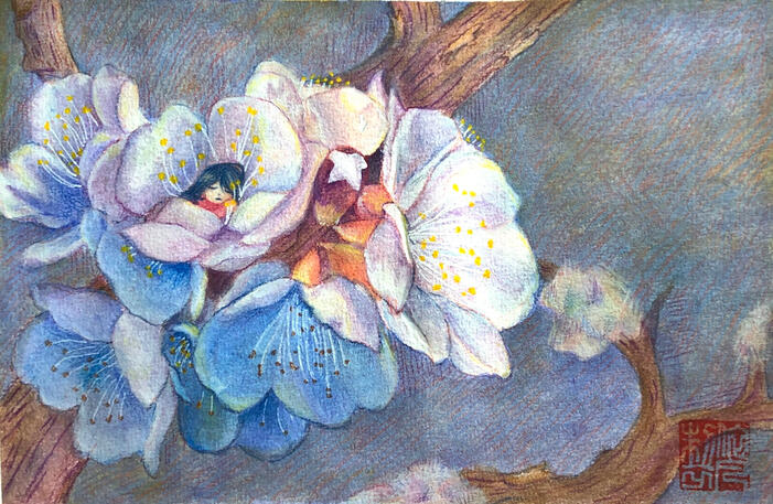 blossom; watercolor and color pencil